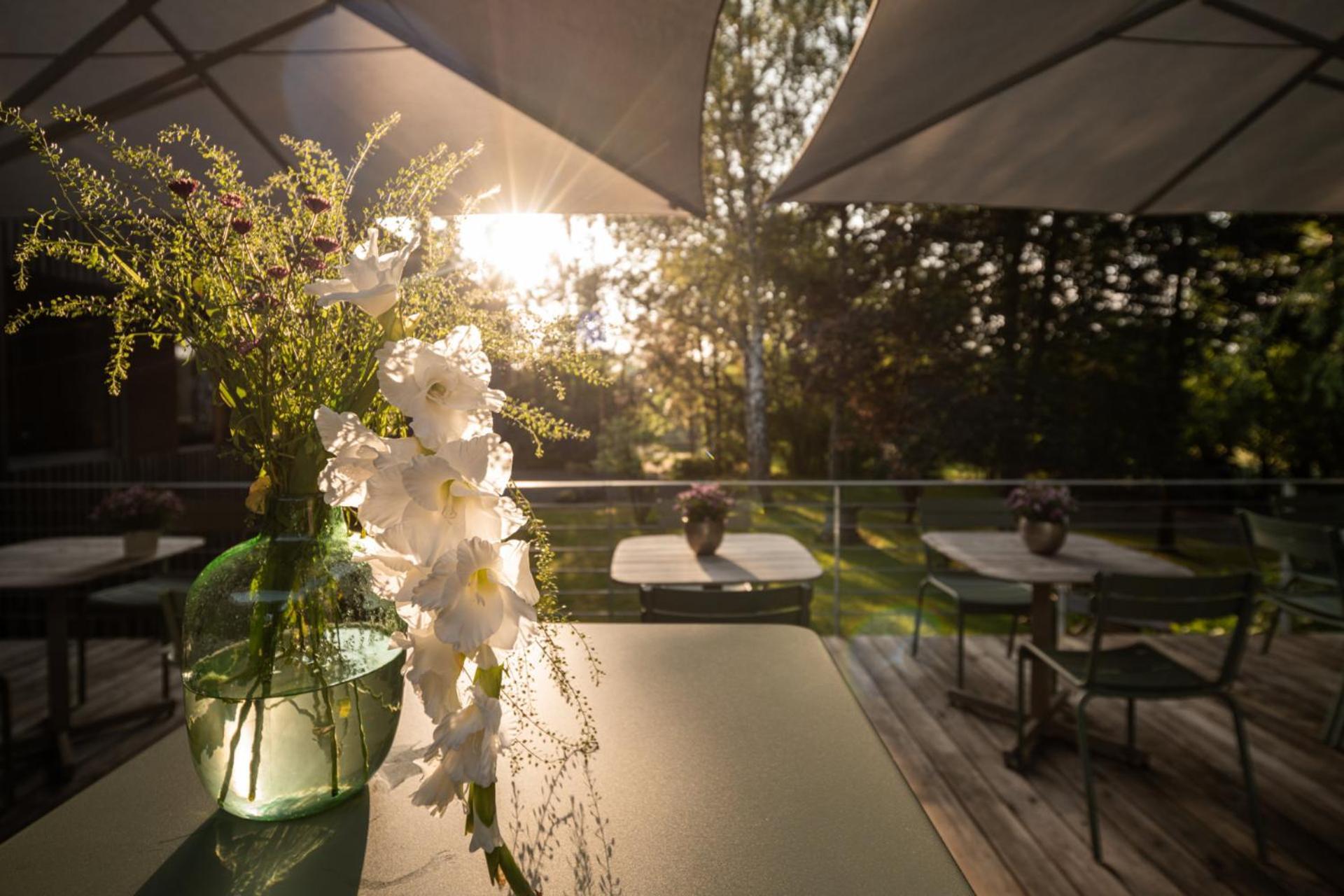 Hotel Sturm Bio- & Wellnesshotel In Der Rhoen 梅尔里希斯塔特 外观 照片
